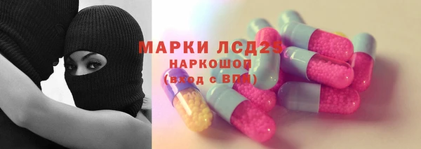 таблы Бородино