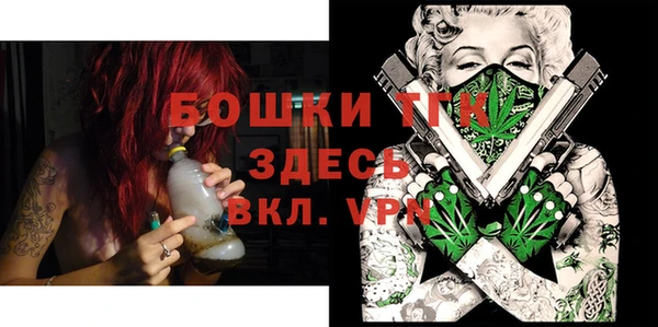 таблы Бородино