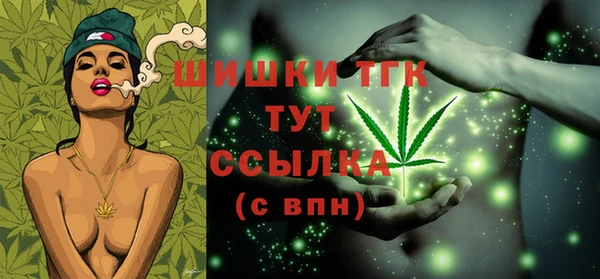 таблы Бородино