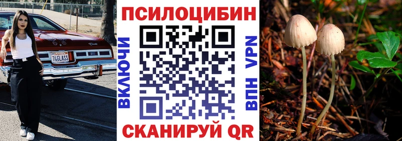 наркотики  ОМГ ОМГ маркетплейс  Псилоцибиновые грибы Cubensis  Арзамас 